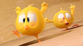 Where's Chicky? Funny Chicky | The Wooden Labyrinth | Cartoon In English For Kids | New Episodes