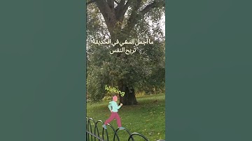 تلاوة خاشعة للشيخ ماهر المعيقلي ماتيسر من سورة العلق