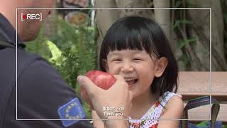 1041231 global day Taiwan