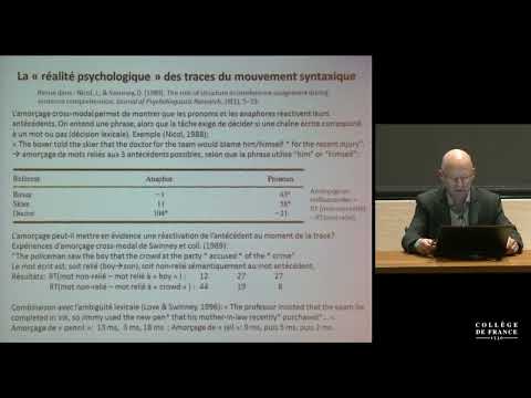 Représentation cérébrale des structures linguistiques (7) - Stanislas Dehaene (2015-2016)