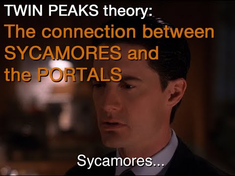 Twin Peaks: The connections between Sycamores and the Portals – New York theory
