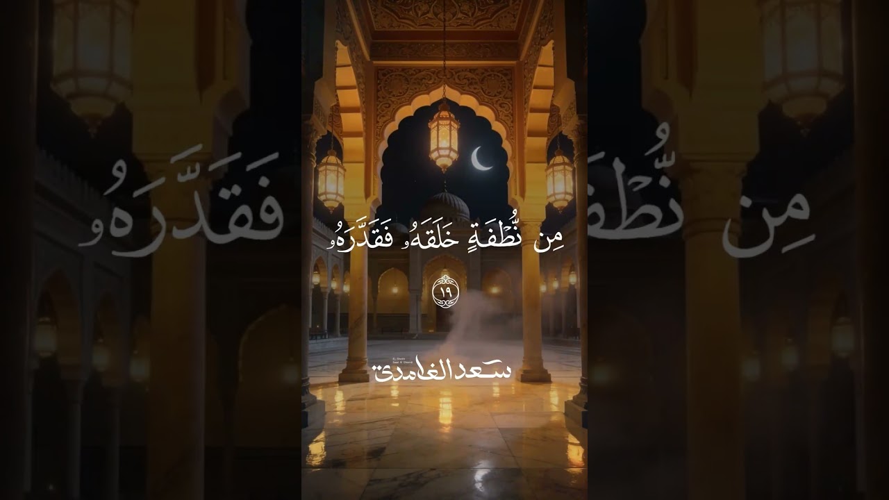كَلَّا إِنَّهَا تَذْكِرَةٌ * فَمَن شَاءَ ذَكَرَهُ *  فِي صُحُفٍ مُّكَرَّمَةٍ | الشيخ سعد الغامدي