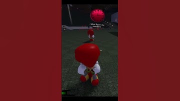 Knuckles Punch | Outcome Memories