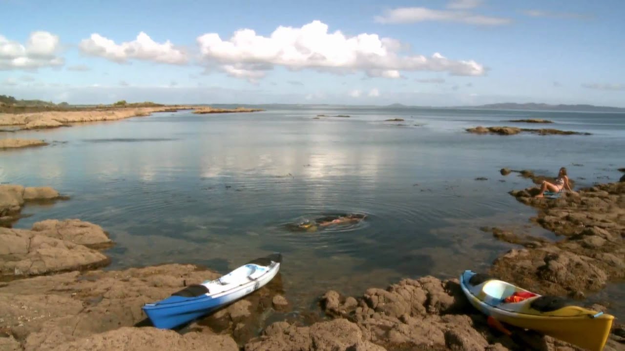 Sanctuary in the Cove - Overview