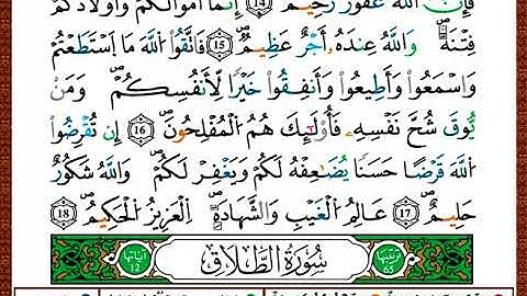 ختمة مصحف التجويد برواية قالون الصفحة رقم 557