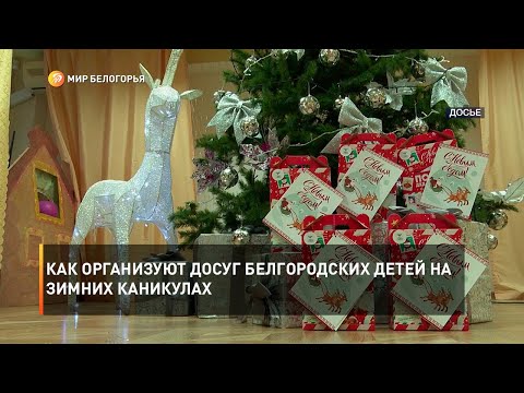 Как организуют досуг белгородских детей на зимних каникулах