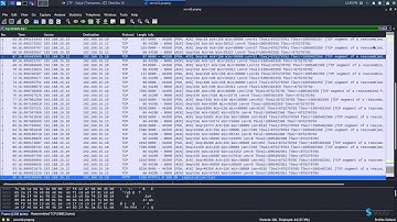 Solyd CTF 2019 - Vortex - Flag 1
