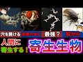 【ゆっくり解説】恐怖！人間に寄生するおそろしい生物10選