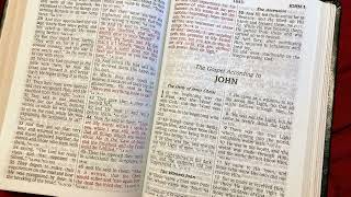 John 4 (NASB) - Bread Of Life