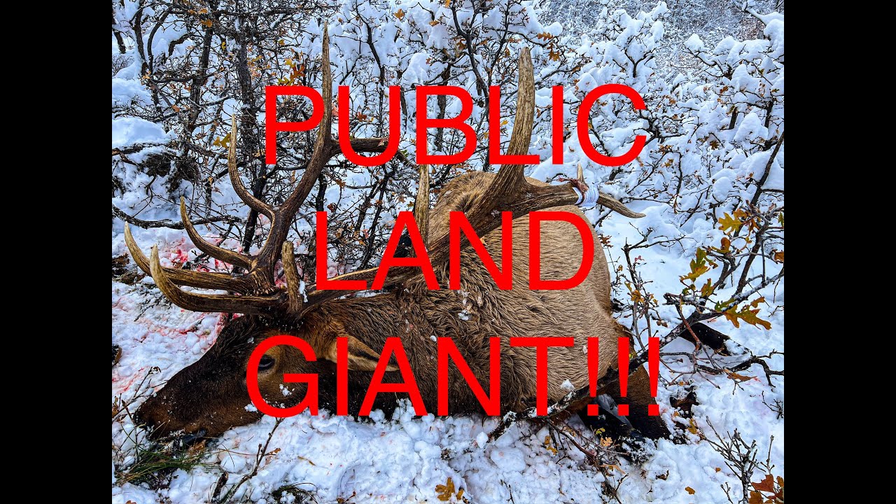 UTAH MUZZLELOADER ELK HUNT HUGE BULL DOWN SLOW MOTION KILL SHOT utah-muzzleloader-elk-hunt-huge-bull-down-slow-motion-kill-shot