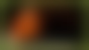 Amiga Longplay [065] Fascination