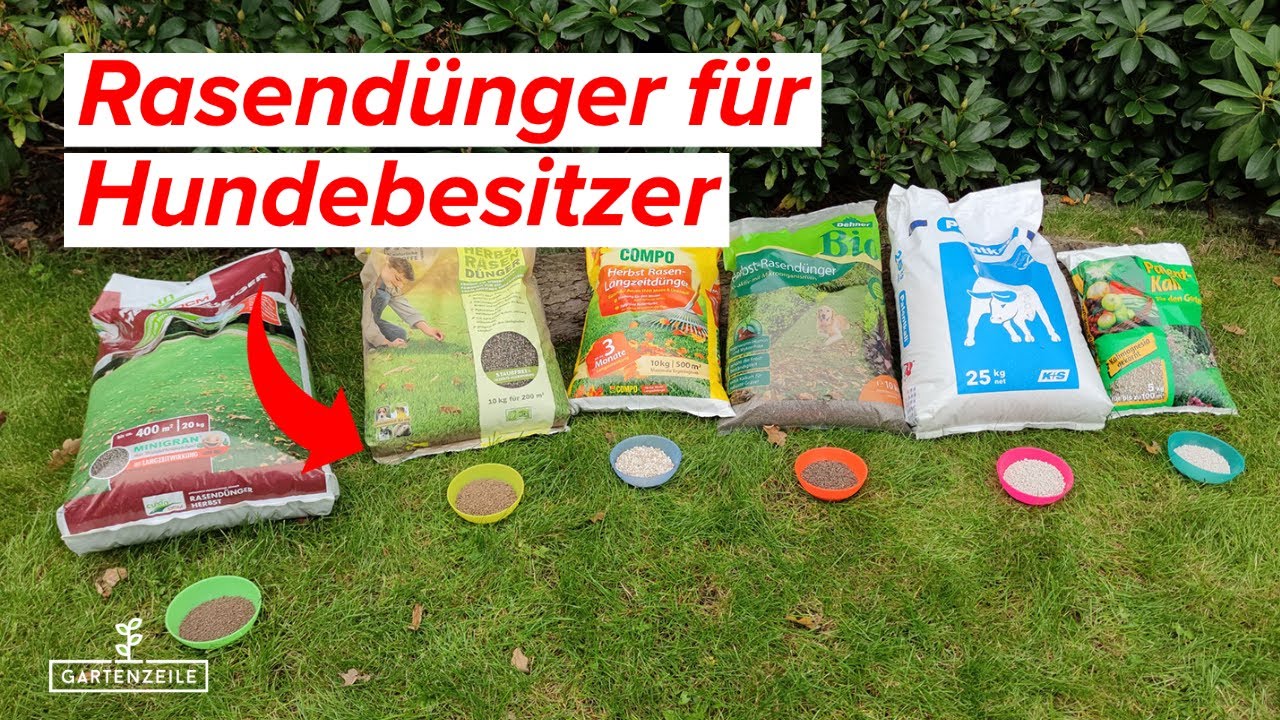 Rasendnger fr Hundebesitzer - Darauf solltest du unbedingt achten!