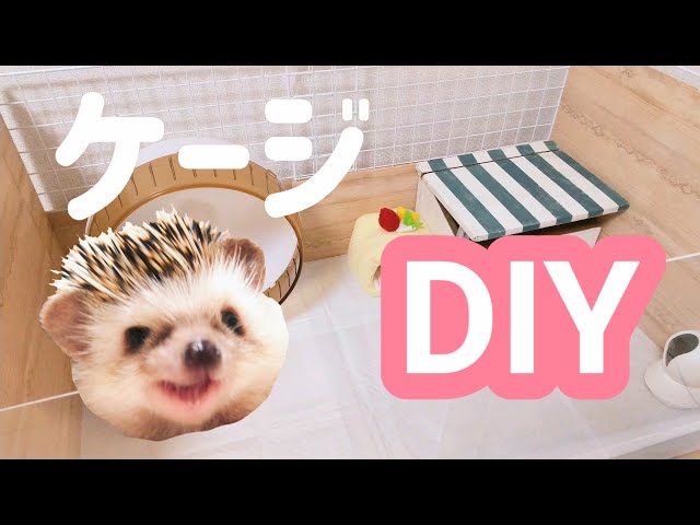 小動物（ハリネズミ）手作り木製ケージセット ハリネズミ用のケージ作ってみた！【DIY】How to make a cage