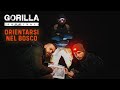 ADDESTRAMENTO MILITARE - orientamento - GORILLA SURVIVAL