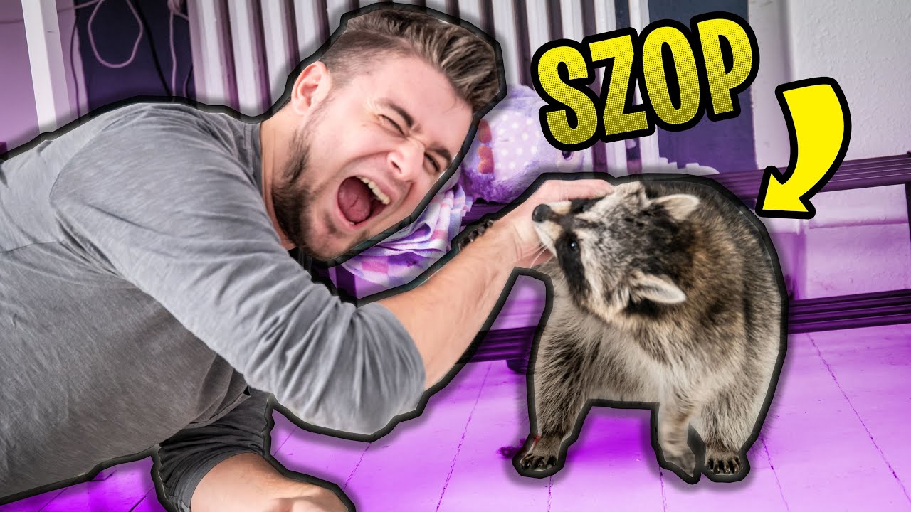 SZOP PRACZ - RECENZJA