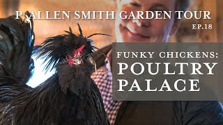 Wacky Crested Poultry Breeds: Celebrity Lookalike! | P. Allen Smith