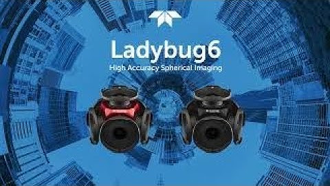 High Accuracy Spherical Imaging with Teledyne Ladybug6