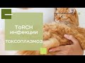 ToRCH-инфекции / ТОКСОПЛАЗМОЗ