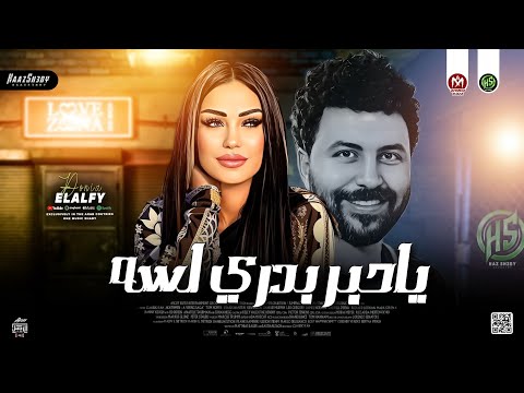 ترند ياحبر بدري لسه 2024 دنيا الالفي باسط مصر حظ شعبي جديد 2024