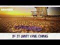 Pigeon John - If It Ain't One Thing (Official Visualizer)