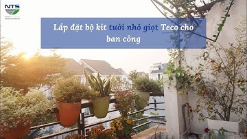 Thử nghiệm lắp đặt bộ kit tưới nhỏ giọt hãng Teco cho ban công