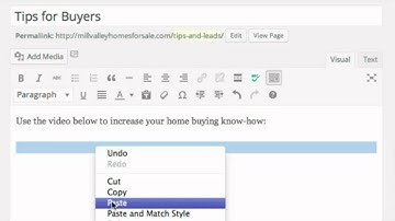 Embed a YouTube Video   Optimize WordPress SEO