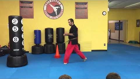 Flying Sidekick tutorial