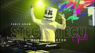 STECU - DJ VIRAL TIKTOK | DJ REMIX