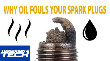 Why Oil Fouls Your Spark Plugs