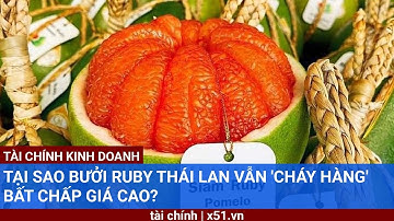 TẠI SAO BƯỞI RUBY THÁI LAN VẪN 