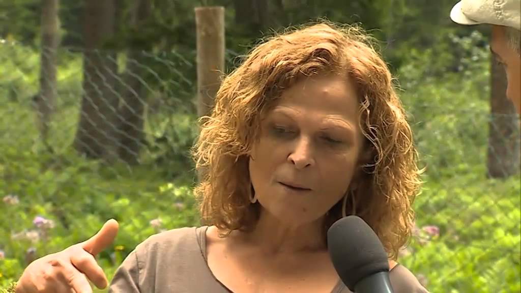 Val Genova: Noris e le meraviglie dell'orticoltura d'alta montagna.