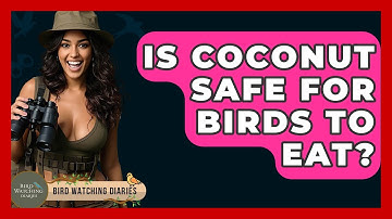 Is Coconut Safe For Birds To Eat? - Bird Watching Diaries