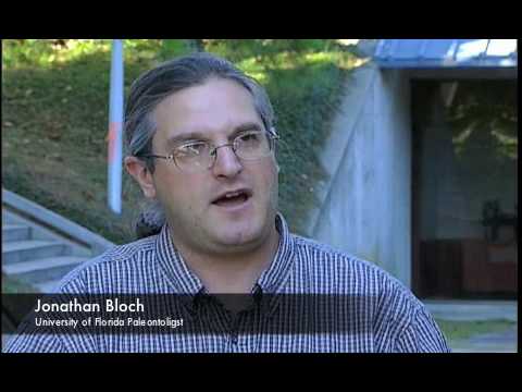 Discovering Titanoboa, the World's Largest Snake