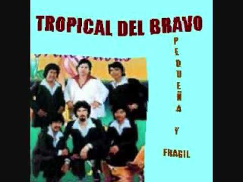 Tropical Del Bravo - Gotitas De Amor Tropical Del Bravo - Gotitas De Amor