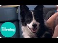 Our Dog Sniffed Out Our Daughter's Life-Threatening Disease | This Morning