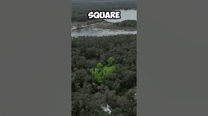 Central Florida Land For Sale! 0.21 Acres - Privacy, Power & Easy Access  Only $199 Down!  #florida