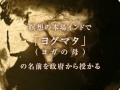 ヒマラヤ大聖者　相川圭子　ご紹介 の動画、YouTube動画。