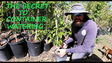 How To Water ANY Container Plant | EASY!!!!