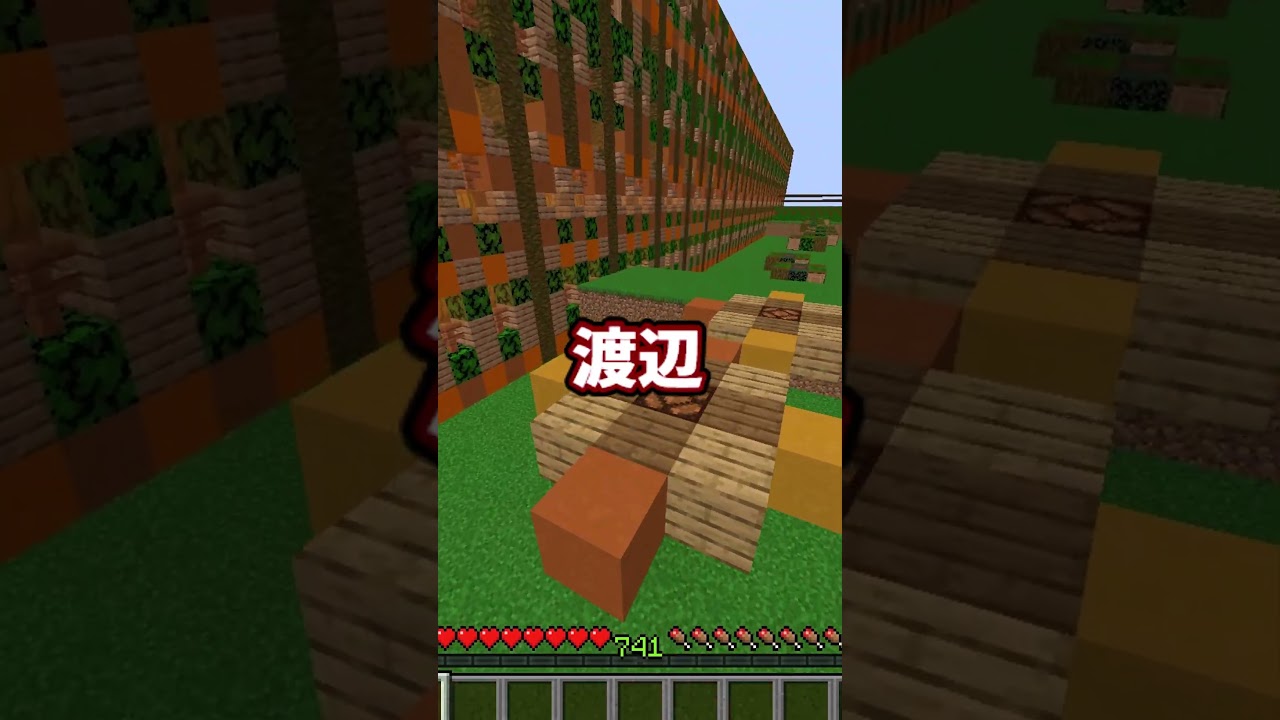 きみの苗字が呼ばれたら天才！#shorts #minecraft #マインクラフト #マイクラ #アスレチック