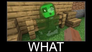 Minecraft realistic wait what meme, Lava, Water, Slime #381