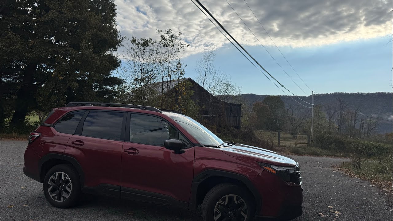 Drive through scenery to Channel state forest in Rosedale VA 