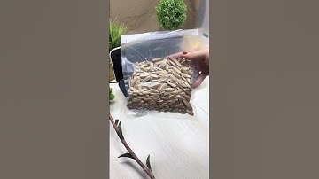 Túi hút chân không đựng thực phẩm #shorts #baobiminhkhang