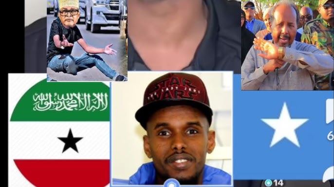 Foto: Er xotinining ko‘kraklarini ko‘rdi Kirzhach ayollar jinsiy aloqa