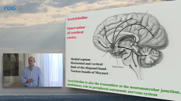 Michael Hasselmo on Neuromodulation and cortical f...