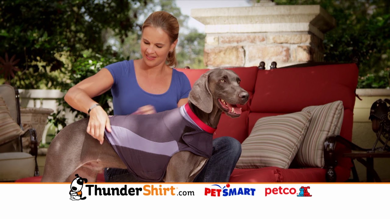 thunder vest petsmart