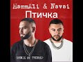 HammAli & Navai - Птичка (DEEP HOUSE | DANCE | MINIMAL | TECHNO REMIX 2021) (REMIX BY TEDDYG)