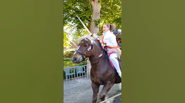 ?? Ringrijden Grijpskerke ????  Nederland @TravelwithHugoF  #ringrijden #horses #grijpskerke