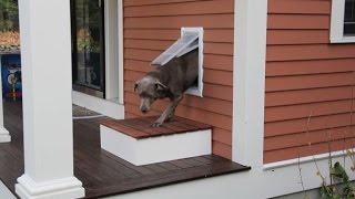 Installing A Pet Door