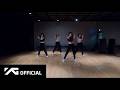 BLACKPINK GO DANCE PRACTICE VIDEO