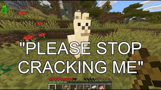 Minecraft But If I Jump I Get Cracked